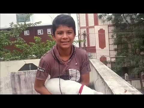 Types of people with dogs|| my 2nd video || MY LIFE MY WISH||