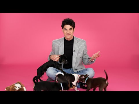 Darren Criss: The Puppy Interview