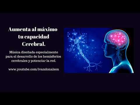 META CEREBRO - AUMENTA TUS CAPACIDADES CEREBRALES - MEMORIA, ESTUDIO, ANALISIS Y CREATIVIDAD