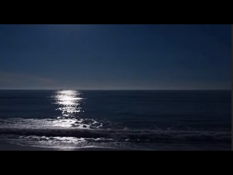 8 Hours of Ocean Waves Under Moonlight 🌙| Night Beach White Noise for Sleep, Relaxation & Meditation