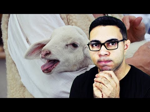 The Parable of the Lost Sheep and the Soul of the Sinner (Bible Study)