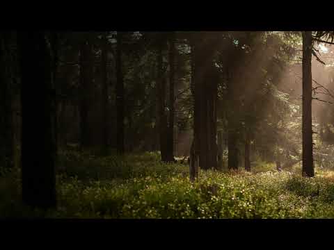 Ishimura( FroiDen)  Feat Gilus depas _  Grafinas pietinio repo