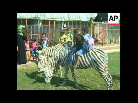 download lagu mp3 mp4 Donkey Painted Like A Zebra, download lagu Donkey Painted Like A Zebra gratis, unduh video klip Donkey Painted Like A Zebra