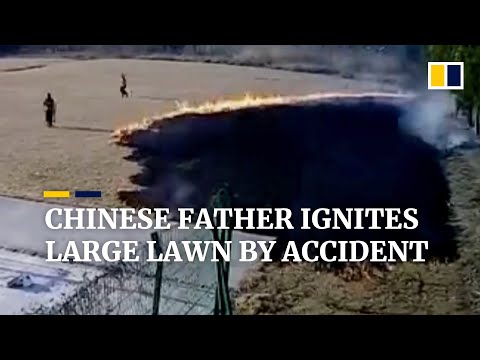 Chinese father sets 2,000-sq-m lawn on fire after magnifying glass experiment goes wrong