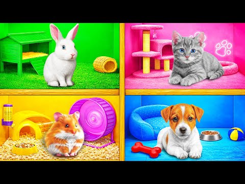 We Built a House For Pets