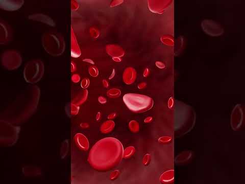 What does Vitamin B6 actually do?