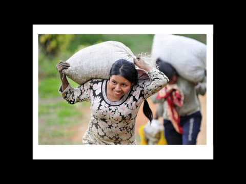 Pecha Kucha Dayton Vol 16 - Danielle Fritz