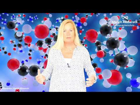 Schilddrüsenhormone (T3/T4) einfach erklärt!