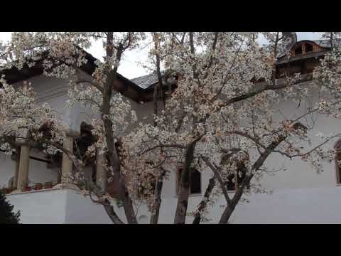 @ionbogdanstefanescu  Dan Voiculescu - Sonata 4