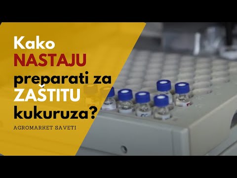 Zaštita kukuruza - pre em (Herbicidi: Mont + Terbis)