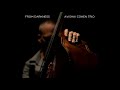 Avishai Cohen - Signature