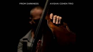 Avishai Cohen - Signature