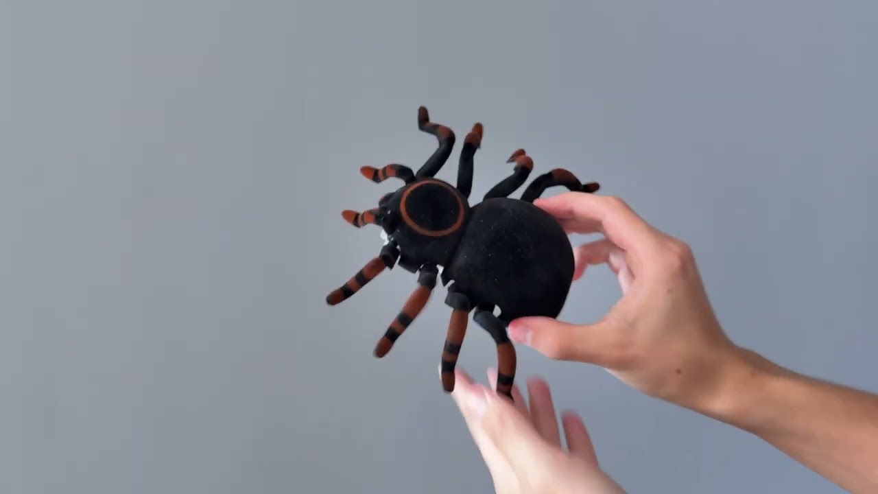 Паук на радиоуправлении SHT FY878 Tarantula 2.4G