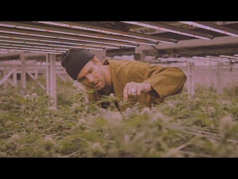 Dirty Heads - Lift Me Up (Official Music Video)