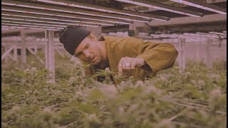 Dirty Heads - Lift Me Up (Official Music Video)