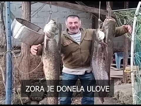 Hvatanje soma na crnu glistu. Druga verzija.
