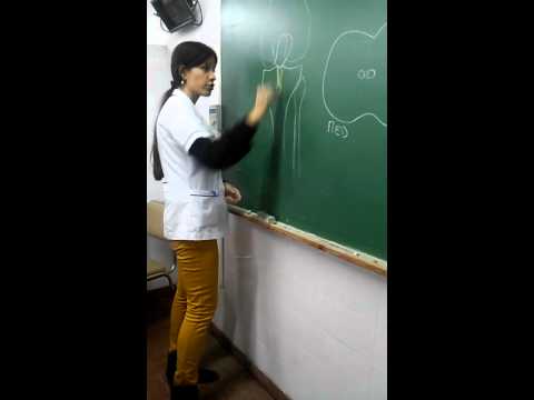 Rodilla (explicación)