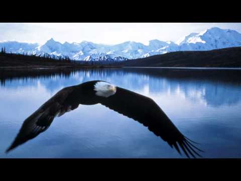 Bernward Koch - Wonderful Glider