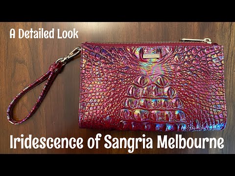 Brahmin Wristlet Clearance