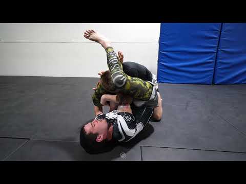 Purple Belt vs White Belt 🥋 | #146