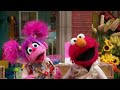 Sesame Street The Vet Song