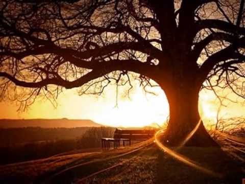 Jahresringe   Daliah Lavi            (((_,»*¯*«ஐ»*¯*«,_))))