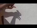 Sombras Chinescas Conejo
