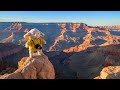 Google Gemini Mr Fuzzy S Big Adventure
