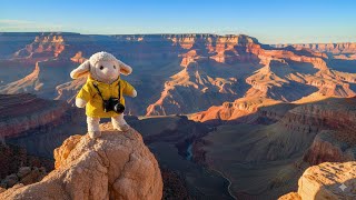 Google Gemini: Mr. Fuzzy’s Big Adventure