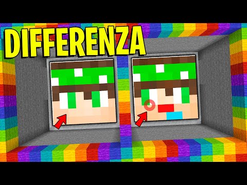 RIESCI A TROVARE LE DIFFERENZE su MINECRAFT?