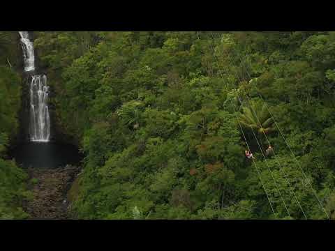 Botanical World Adventures Zipline Activity!