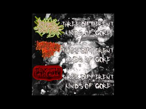 Slaughter Circle - Three Different Kinds of Gore split FULL EP (2014 - Gorenoise / Goregrind)