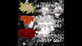 Slaughter Circle - Three Different Kinds of Gore split FULL EP (2014 - Gorenoise / Goregrind)