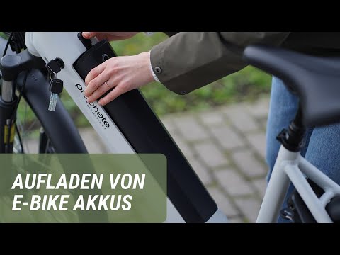 Aufladen verschiedener Akkutypen (E Bikes) | Prophete