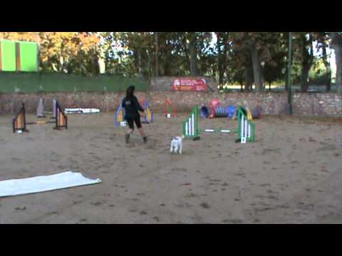 Anna Mel Jumping 2ª Divisio