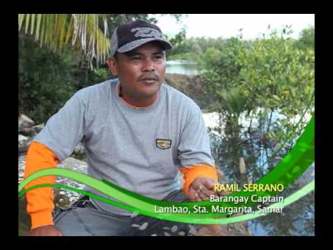 Mud Crab (Alimango) Farming using Formulated Feeds Video