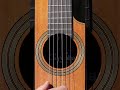 Can Your Guitar Do This? #vibration #guitar #acoustic #acousticguitar  #energy #rollingshutter  #wow