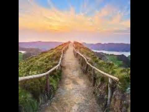 The Largest Flower Collection in the World 8K HDR 60FPS DEMO - Relaxing music and nature sounds 8K