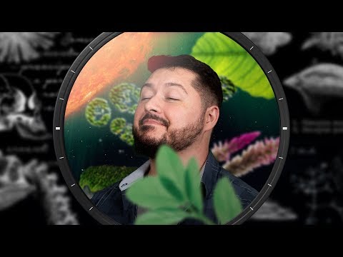 How plants emerged (photosynthesis) | Nerdologia Ensina 03