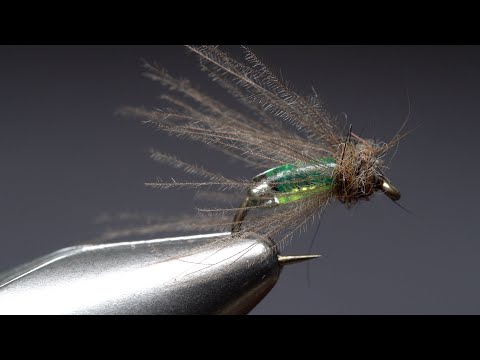Shiney Hiney Caddis Pupa