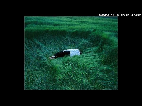 [free] drain x yung lean x bladee type beat - "xanax dmg" [Prod. methboiswag]