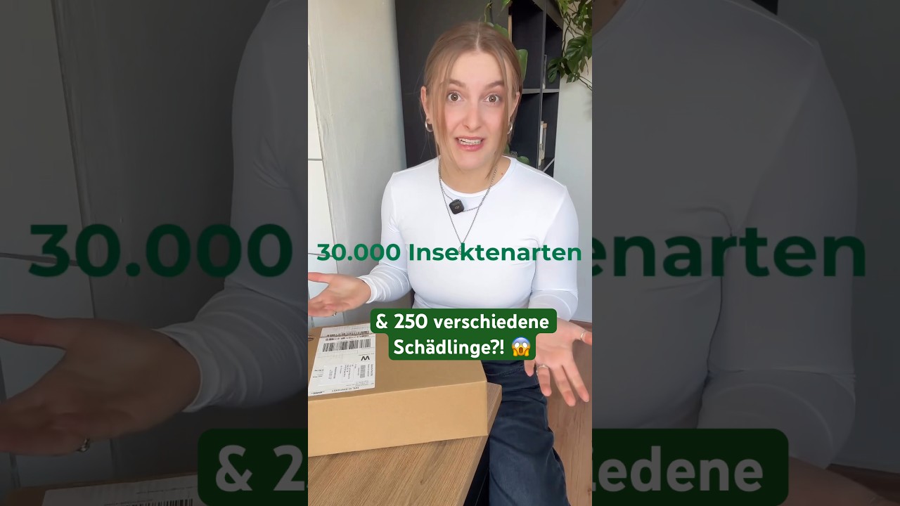 Schädlinge im Haushalt oder Garten: Wie viele Arten gibt es wirklich und wann ist Hochsaison? 🤔