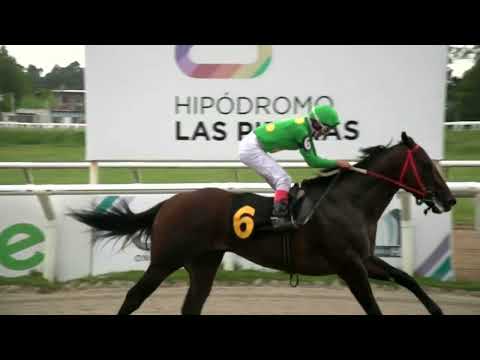 220226 c05 - PLAYER ONE - HIPODROMO LAS PIEDRAS