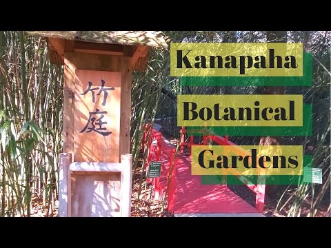 image-Can you picnic at Kanapaha Botanical Gardens?