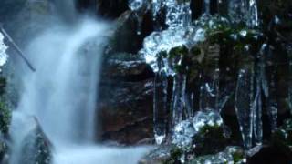 Ashes you Leave - The Feast