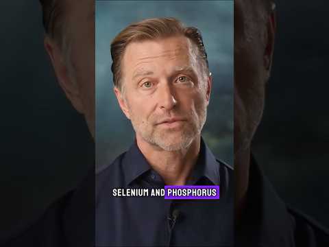 The #1 Best Protein in the World (Costs Less Than $1!)