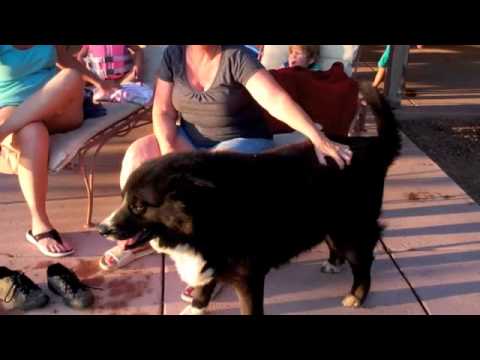 Heaven On A Paper Plate