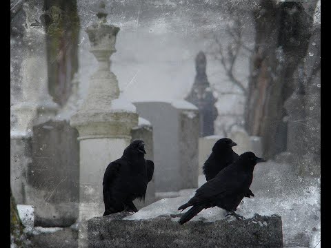 CRÜXSHADOWS : WINTER BORN (LYRICS)