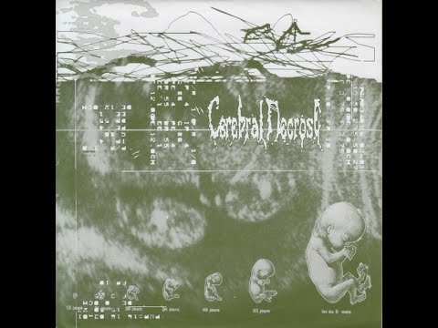 SOLDABLEURKTHAL / CEREBRAL NECROSE - Cerebral Necrose