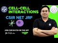 Cell Cell Interaction Cell Adhesion And Junctions Nilesh Soni Cell Biology CSIR NET JRF